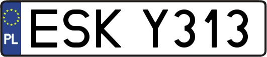 ESKY313