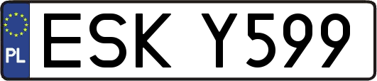 ESKY599