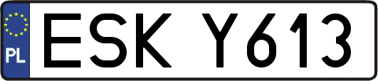 ESKY613
