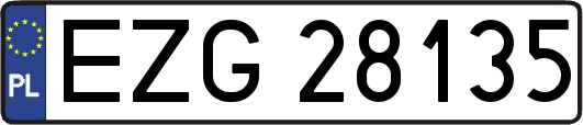 EZG28135