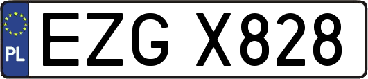 EZGX828