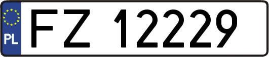FZ12229