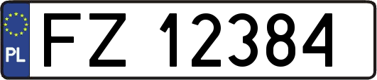 FZ12384