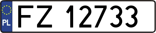 FZ12733