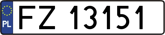 FZ13151