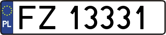 FZ13331
