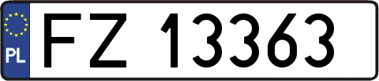 FZ13363