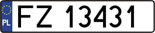 FZ13431