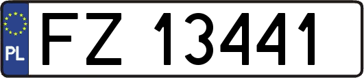 FZ13441