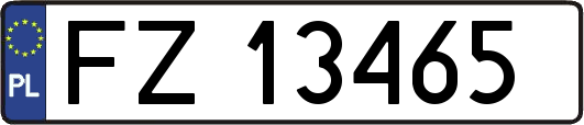 FZ13465