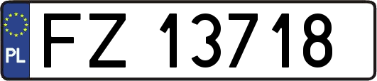 FZ13718