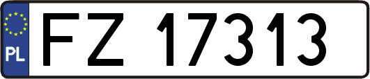 FZ17313