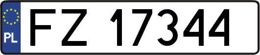 FZ17344