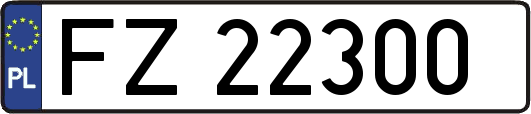 FZ22300