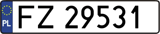 FZ29531
