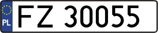 FZ30055
