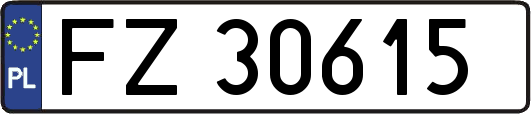 FZ30615