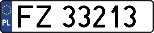 FZ33213