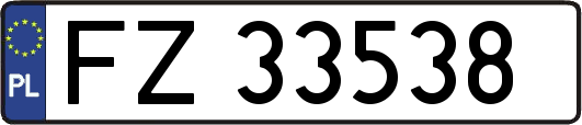 FZ33538