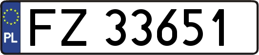 FZ33651
