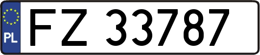 FZ33787