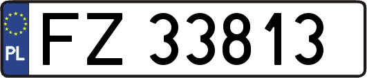 FZ33813