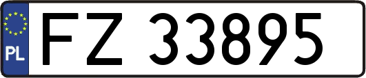 FZ33895