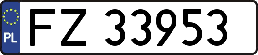 FZ33953