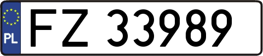 FZ33989