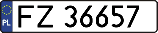 FZ36657