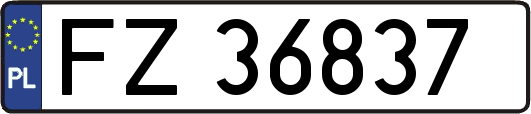 FZ36837