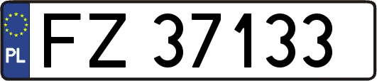 FZ37133