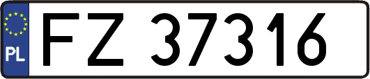 FZ37316