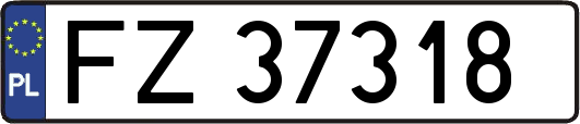 FZ37318