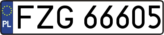 FZG66605
