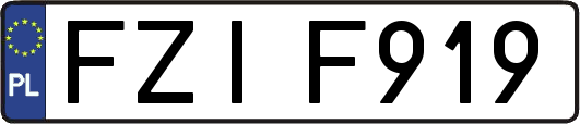 FZIF919