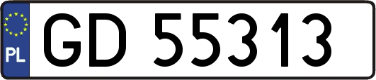 GD55313