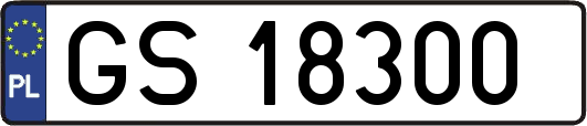 GS18300