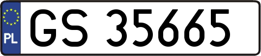 GS35665
