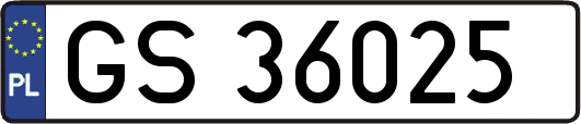 GS36025