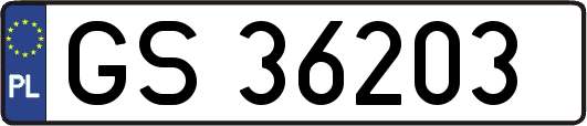 GS36203