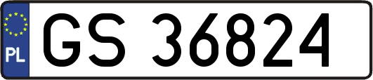 GS36824