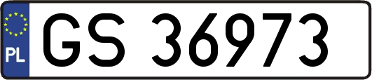 GS36973