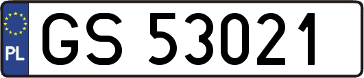 GS53021