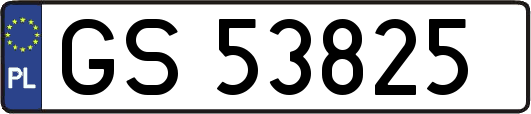 GS53825