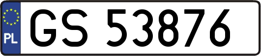 GS53876