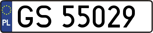 GS55029