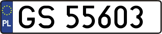 GS55603