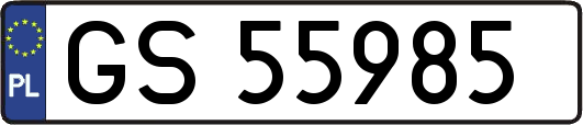 GS55985