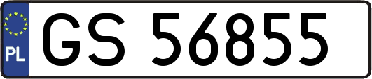 GS56855